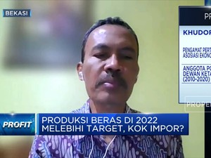 Sudah Impor Tapi Harga Beras Masih Naik, Apa Solusinya?