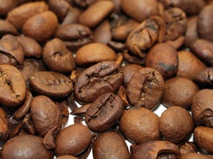 7 Daerah Penghasil Kopi Terbaik di Indonesia, Ada Daerahmu?