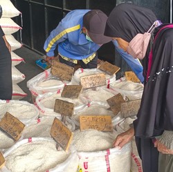 Jokowi Sampai Geram, Harga Beras Masih Ogah Turun Nih