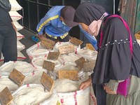 Jokowi Sampai Geram, Harga Beras Masih Ogah Turun Nih