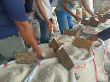 Malapetaka Beras di Rumah Sendiri: Siapa Biang Keroknya?