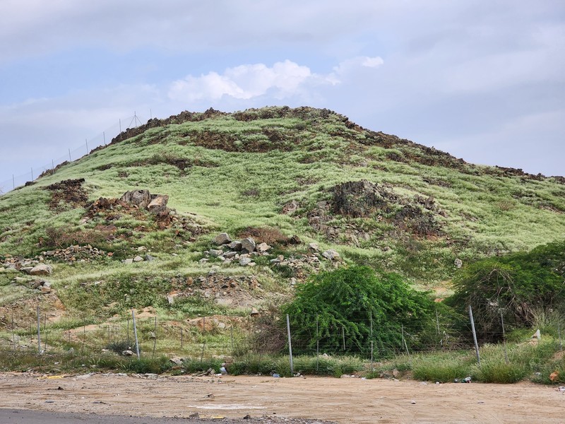 Seorang warga mengambil foto bukit yang menghijau setelah hujan deras di Mekkah, Arab Saudi pada 16 Januari 2023. Seorang warga mengambil foto bukit yang menghijau setelah hujan deras di Mekkah, Arab Saudi pada 16 Januari 2023. (Photo by Hani Alshaer/Anadolu Agency via Getty Images)