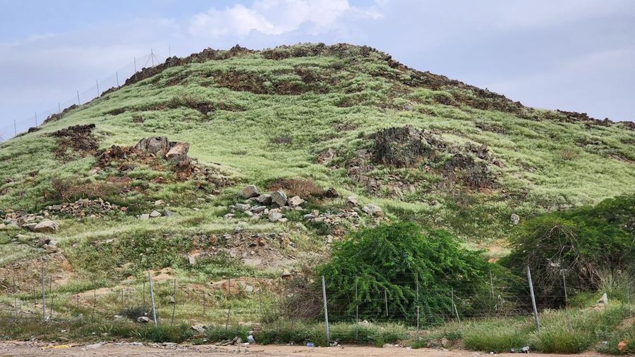 Pemandangan bukit yang menghijau setelah hujan lebat di Mekkah, Arab Saudi pada 16 Januari 2023. (Photo by Hani Alshaer/Anadolu Agency via Getty Images)