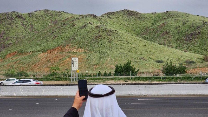 Seorang warga mengambil foto bukit yang menghijau setelah hujan deras di Mekkah, Arab Saudi pada 16 Januari 2023. (Photo by Hani Alshaer/Anadolu Agency via Getty Images)