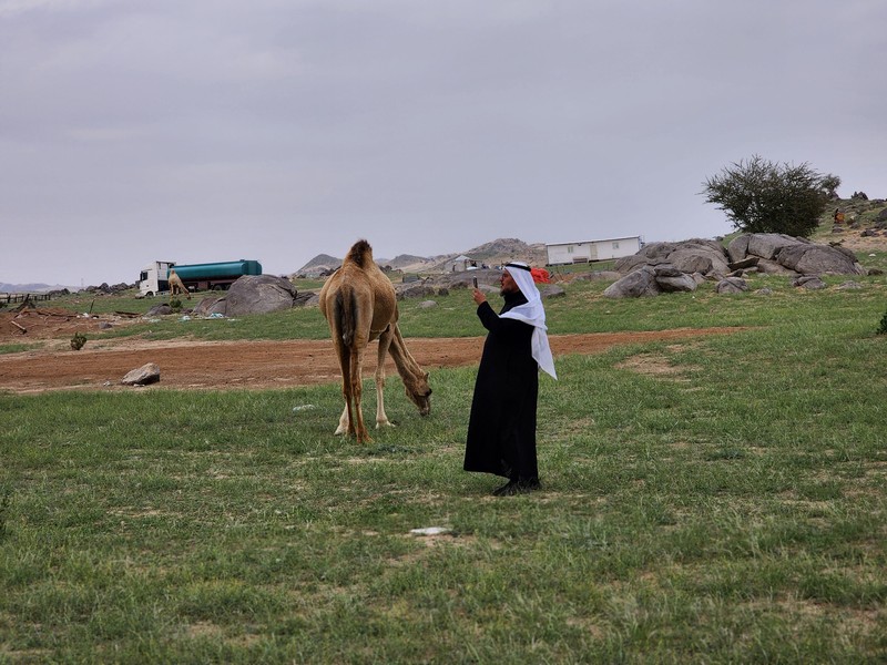 Seorang warga mengambil foto bukit yang menghijau setelah hujan deras di Mekkah, Arab Saudi pada 16 Januari 2023. Seorang warga mengambil foto bukit yang menghijau setelah hujan deras di Mekkah, Arab Saudi pada 16 Januari 2023. (Photo by Hani Alshaer/Anadolu Agency via Getty Images)
