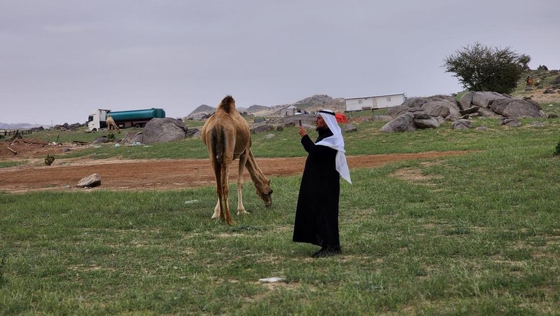 Seorang warga mengambil foto bukit yang menghijau setelah hujan deras di Mekkah, Arab Saudi pada 16 Januari 2023. (Photo by Hani Alshaer/Anadolu Agency via Getty Images)