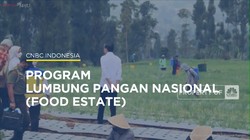 Mengenal Konsep 'Food Estate'