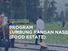 Mengenal Konsep 'Food Estate'