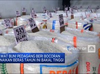 Gawat! Pedagang Beri Bocoran Kenaikan Harga Beras Tahun Ini