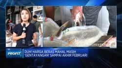 Duh! Harga Beras Mahal Masih 'Gentayangan' Sampai Februari