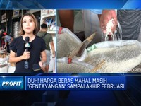 Duh! Harga Beras Mahal Masih  'Gentayangan' Sampai Februari