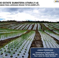 Food Estate Jokowi Mendadak Disebut Palsu, Lokasinya di Sini