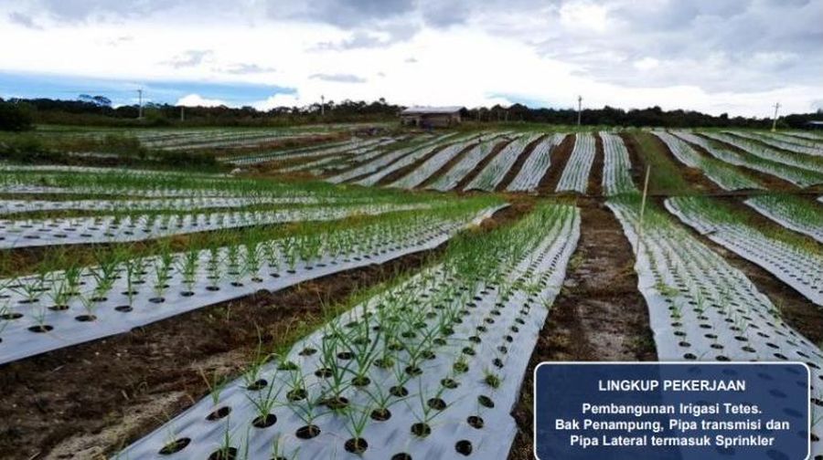 Food Estate NTT (PUPR)