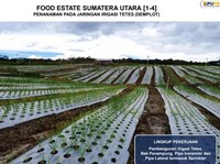 Bukan Palsu, DPR Kini Sebut Kementan Mark Up Data Food Estate