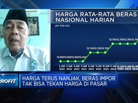 Harga Terus Nanjak, Beras Impor Tak Bisa Tekan Harga Pasar?