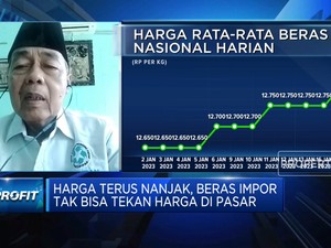 Harga Terus Nanjak, Beras Impor Tak Bisa Tekan Harga Pasar?