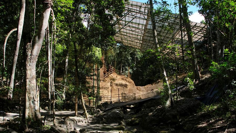 Pemandu komunitas Manuel Centeno mengamati bagian dekorasi Popol Vuh di situs arkeologi El Mirador di mana tim dari yayasan penelitian antropologi FARES Guatemala telah mengungkapkan dalam studi teknologi tinggi baru bahwa hampir 1.000 pemukiman Maya kuno, termasuk 417 situs yang sebelumnya tidak dikenal dihubungkan oleh yang mungkin merupakan jaringan jalan raya pertama di dunia, tersembunyi di balik hutan lebat Guatemala utara dan Meksiko selatan, di Peten, Guatemala, 17 Januari 2023. (REUTERS/Josue Decavele)