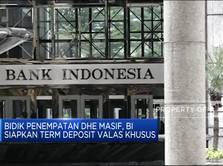 Video: 10 Bank Siap Bantu BI Tarik Dana DHE