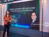 Bimbel Lavender Melantai di BEI, Layak Beli Atau Remidi?