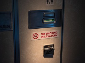 Viral Pramugari Tahan Pintu  Toilet yang Copot Saat Pesawat Lepas Landas