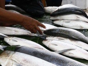 Harga Sembako Jogja Hari Ini 22 April 2025: Ikan Bandeng Stabil Rp 41 Ribuan/Kg