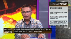 Pakar Tambang Dorong Moratorium Smelter Nikel, Ada Urgensi?