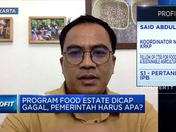Tak Berkontribusi Pada Stok Pangan,Program Food Estate Gagal?