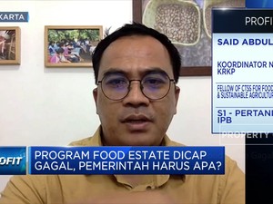 Tak Berkontribusi Pada Stok Pangan,Program Food Estate Gagal?
