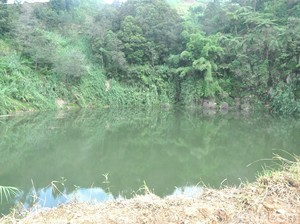 Tragedi Maut Letusan Kawah Sinila di Dieng, Renggut 147 Nyawa Tak Berdosa