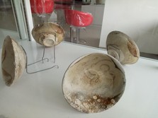 Jreng, Ini Penampakan Harta Karun Bawah Laut RI
