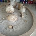 Mau Keruk Harta Karun Bawah Laut RI? Pemburu Baca Ini!