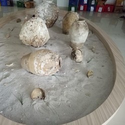 Jangan Kaget! Harta Karun Bawah Laut RI Nilainya Segini