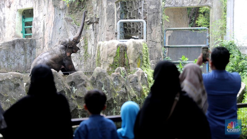 Pengunjung padati Kebun Binatang Ragunan saat libur Imlek 2023. (CNBC Indonesia/Muhammad Sabki)