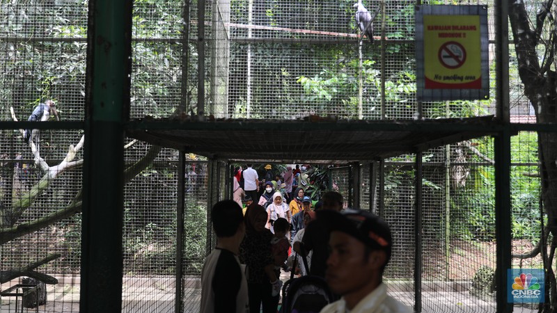 Pengunjung padati Kebun Binatang Ragunan saat libur Imlek 2023. (CNBC Indonesia/Muhammad Sabki)