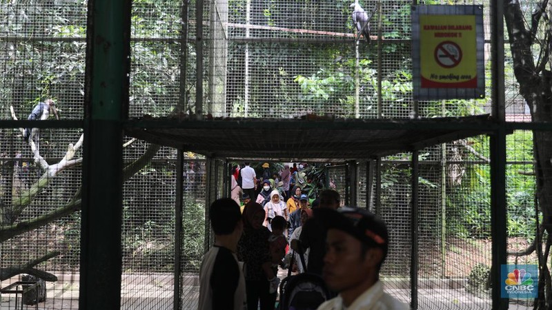Pengunjung padati Kebun Binatang Ragunan saat libur Imlek 2023. (վ/Muhammad Sabki)
