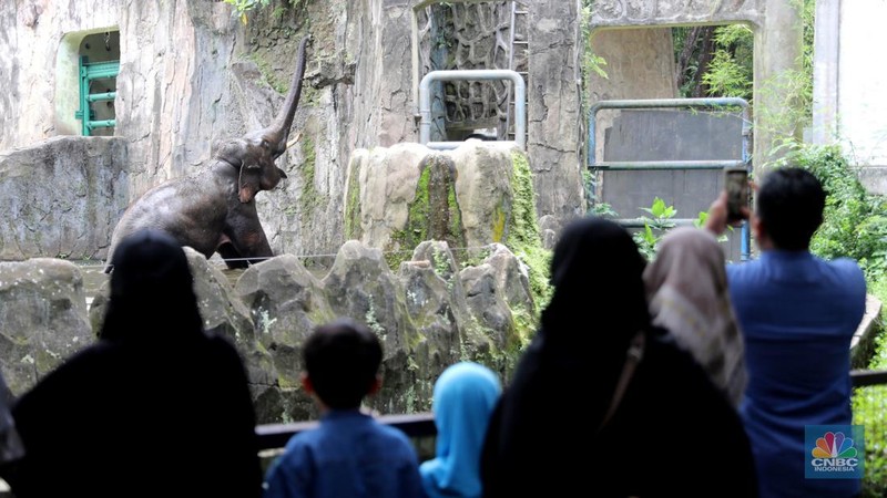 Pengunjung padati Kebun Binatang Ragunan saat libur Imlek 2023. (վ/Muhammad Sabki)