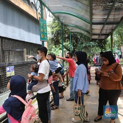 Dear Kepala Daerah, Roda Ekonomi Harus Dipecut Pakai Ini