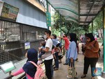 Dear Kepala Daerah, Roda Ekonomi Harus Dipecut Pakai Ini