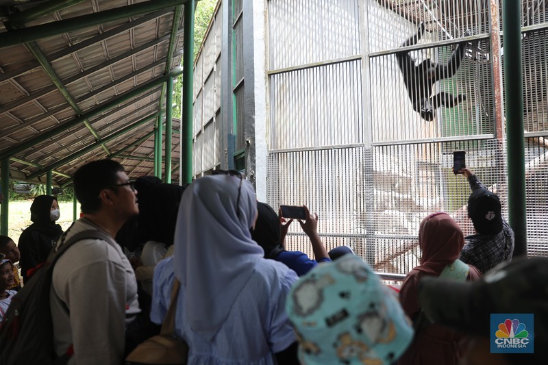Pengunjung padati Kebun Binatang Ragunan saat libur Imlek 2023. (CNBC Indonesia/Muhammad Sabki)