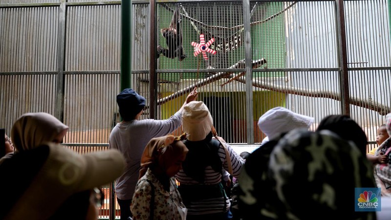 Pengunjung padati Kebun Binatang Ragunan saat libur Imlek 2023. (վ/Muhammad Sabki)