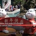 Welcome Tahun Kelinci Air! Usaha Apa yang Berpotensi Cuan?