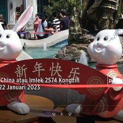 Welcome Tahun Kelinci Air! Usaha Apa yang Berpotensi Cuan?
