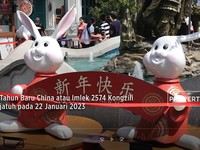 Welcome Tahun Kelinci Air! Usaha Apa yang Berpotensi Cuan?