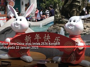 Welcome Tahun Kelinci Air! Usaha Apa yang Berpotensi Cuan?