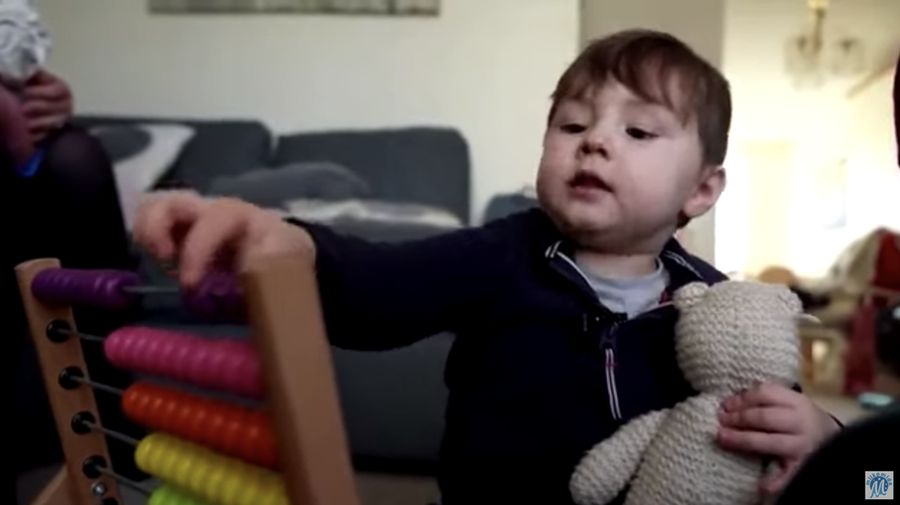 Balita bernama Theodore Hobbs atau Teddy asal Inggris disebut-sebut sebagai bayi ajaib karena sudah lancar membaca pada usia 2 tahun! Yang lebih mengejutkan, tak ada yang mengajarinya membaca. (Tangkapan Layar Youtube Milkomida News)