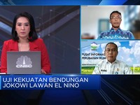 El Nino 2023, BMKG Waspadai Karhutla Sumatera & Kalimantan