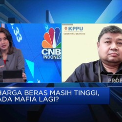Rawan Mafia, KPPU: Beras Dikuasai Oligopoli!
