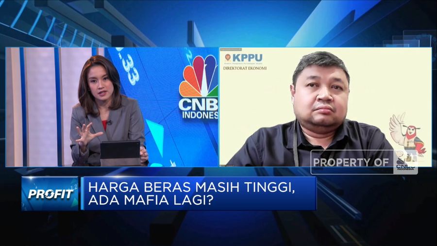 Mafia Sebabkan Harga Beras Melonjak? KPPU Lakukan Penelitian (CNBC Indonesia TV)
