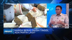 Pedagang: Keterbatasan Stok Bikin Harga Beras 