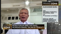 Stok Bijih Nikel Terbatas,Tepat Pembangunan Smelter Dibatasi?